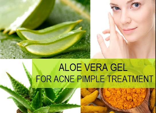 Aloe Vera To Remove Pimple