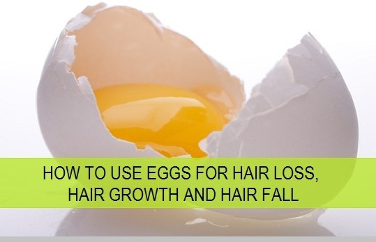  Egg To Stop Hair Fall
