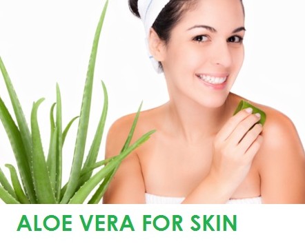 Aloe Vera for Skin