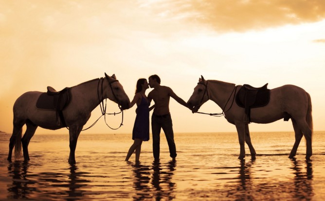couples with horse HD wall paper