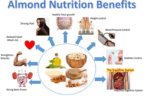  Health Benefits Of Almonds