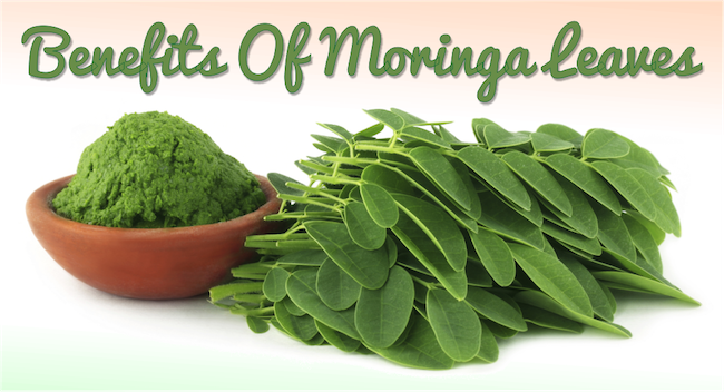 Benefits-Of-Moringa-Leaves