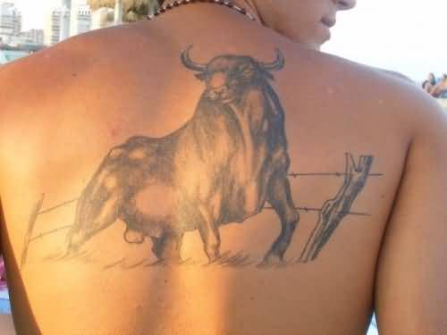 traditional bull tattoo design