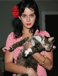 Katy perry with cat