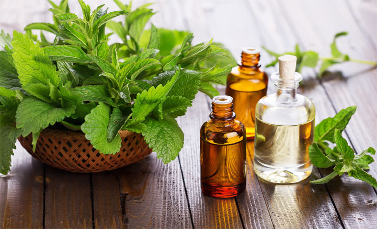 peppermint oil To Cure Gingivitis