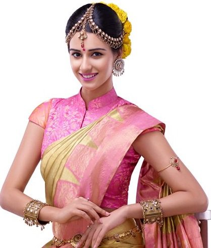 high neck design blouse for indian wedding