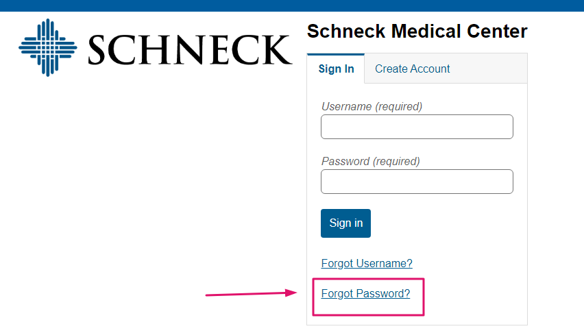 Schneck Patient Portal
