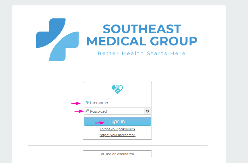 Southeast Medical Group Patient Portal